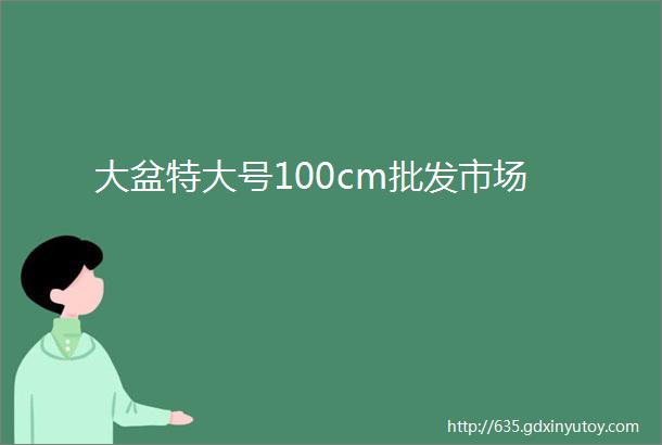 大盆特大号100cm批发市场