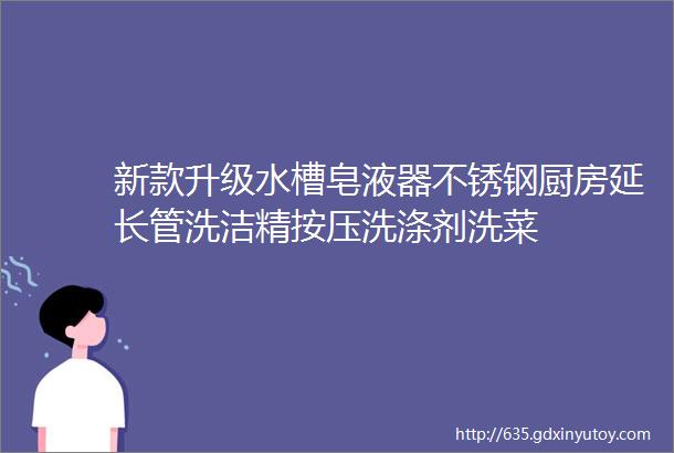 新款升级水槽皂液器不锈钢厨房延长管洗洁精按压洗涤剂洗菜