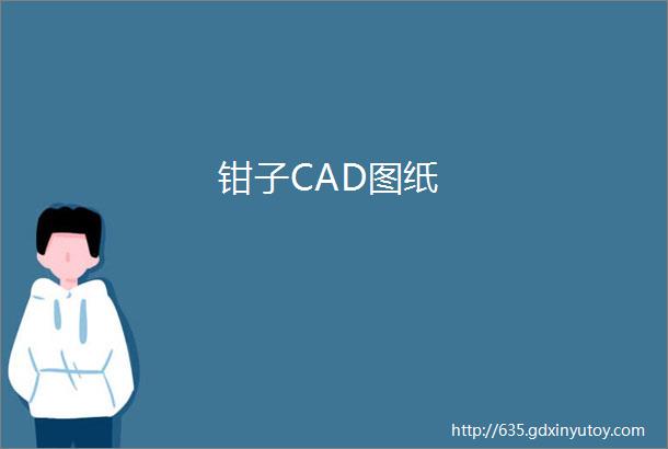 钳子CAD图纸