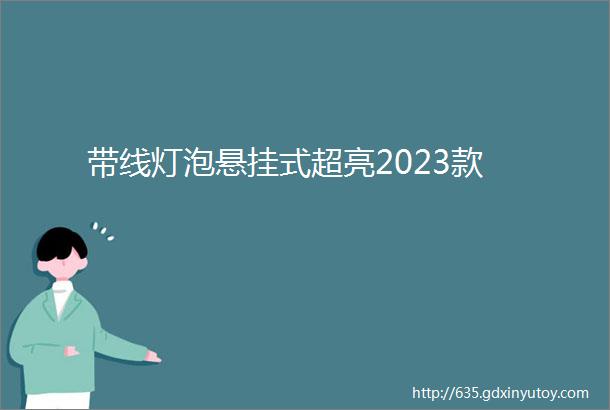 带线灯泡悬挂式超亮2023款